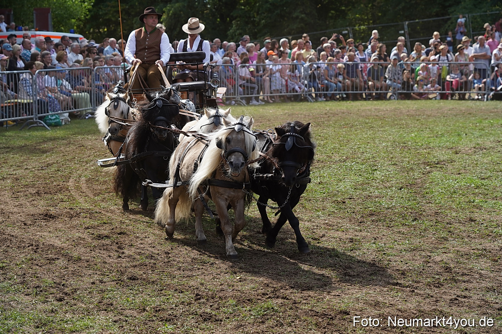 Pferde und Fohlenschau 2022 0296 